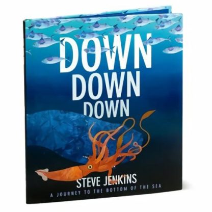 Down, Down, Down A Journey To The Bottom Of The Sea  |  Books Books Books