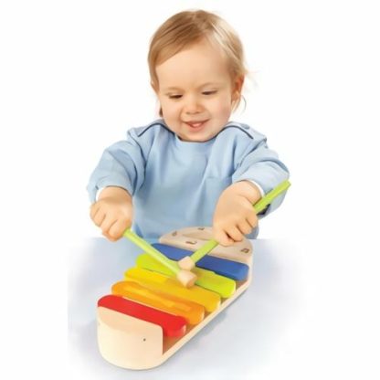 Early Melodies Rainbow Xylophone  |  Educational Toys Early Developmental Toys Early Developmental Toys